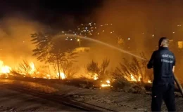 Hatay’da Asi Nehri çevresinde çıkan yangın söndürüldü