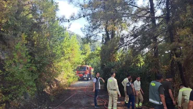 Hatay’ın Dörtyol ilçesinde ormanlık alanda çıkan yangın söndürüldü