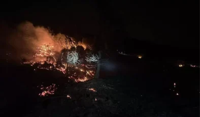 Hatay’da Orman Yangını: 5 Hektar Zarar Gördü