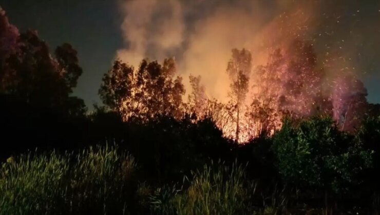 Hatay’da Sazlık Alanda Yangın Kontrol Altına Alındı